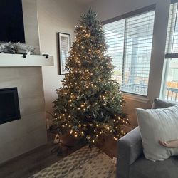 Balsam Hill Christmas Tree