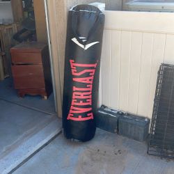EVERLAST BOXING/ Punching Bag