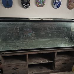 125 gallon fish tank