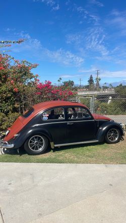 ￼Volkswagen 1964 beetle