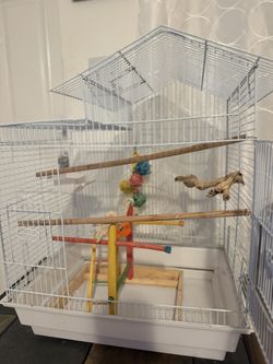 Bird Cage W/ all Accessories