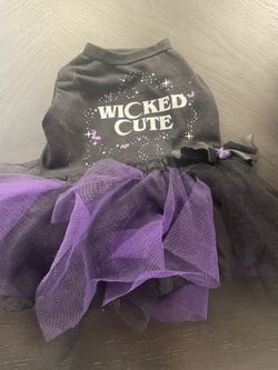 Puppy Halloween Outfit