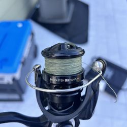 Fishing Rod and Reel 