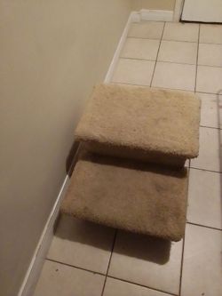 Pet steps