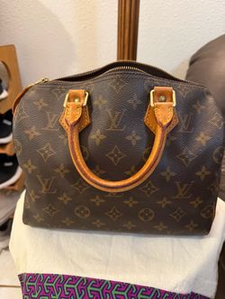 Louis Vuitton Handbag