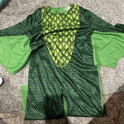 Dragon Costume 