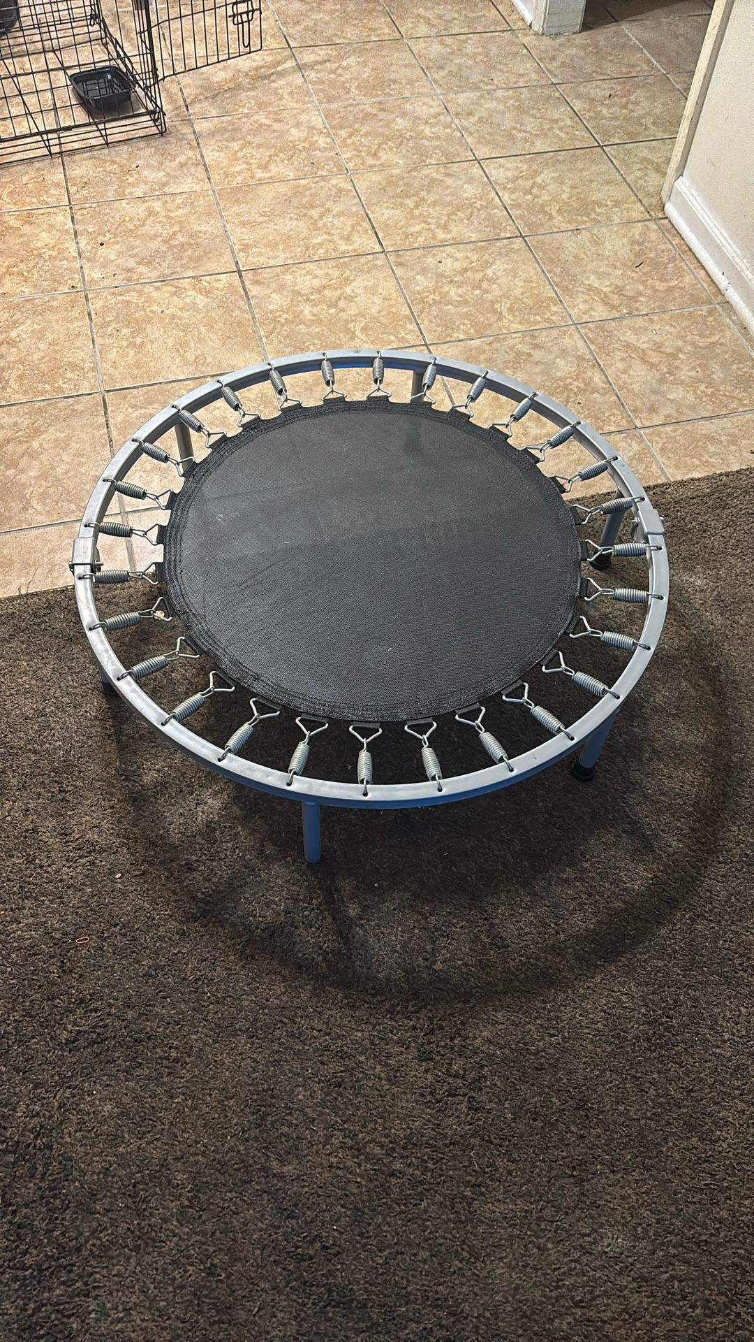 Exercise trampoline