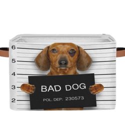 Funny Dogs Storage Baskets