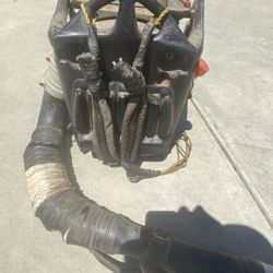 Echo Blower