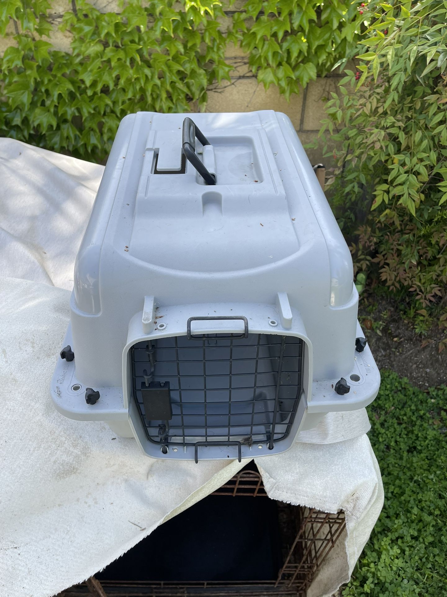 Pet Carrier 