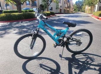 Huffy Bike (24”)