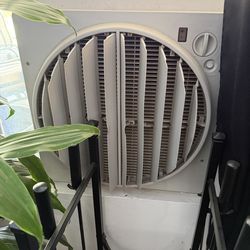 Bonaire Swamp Cooler