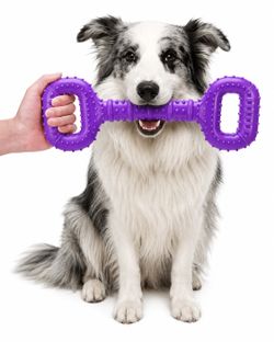 2lb Large Dog Toy for Aggressive Chewer