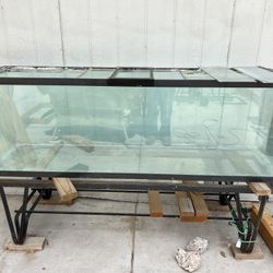 135 Gallon, Old Fish Tank And Steel Stand 