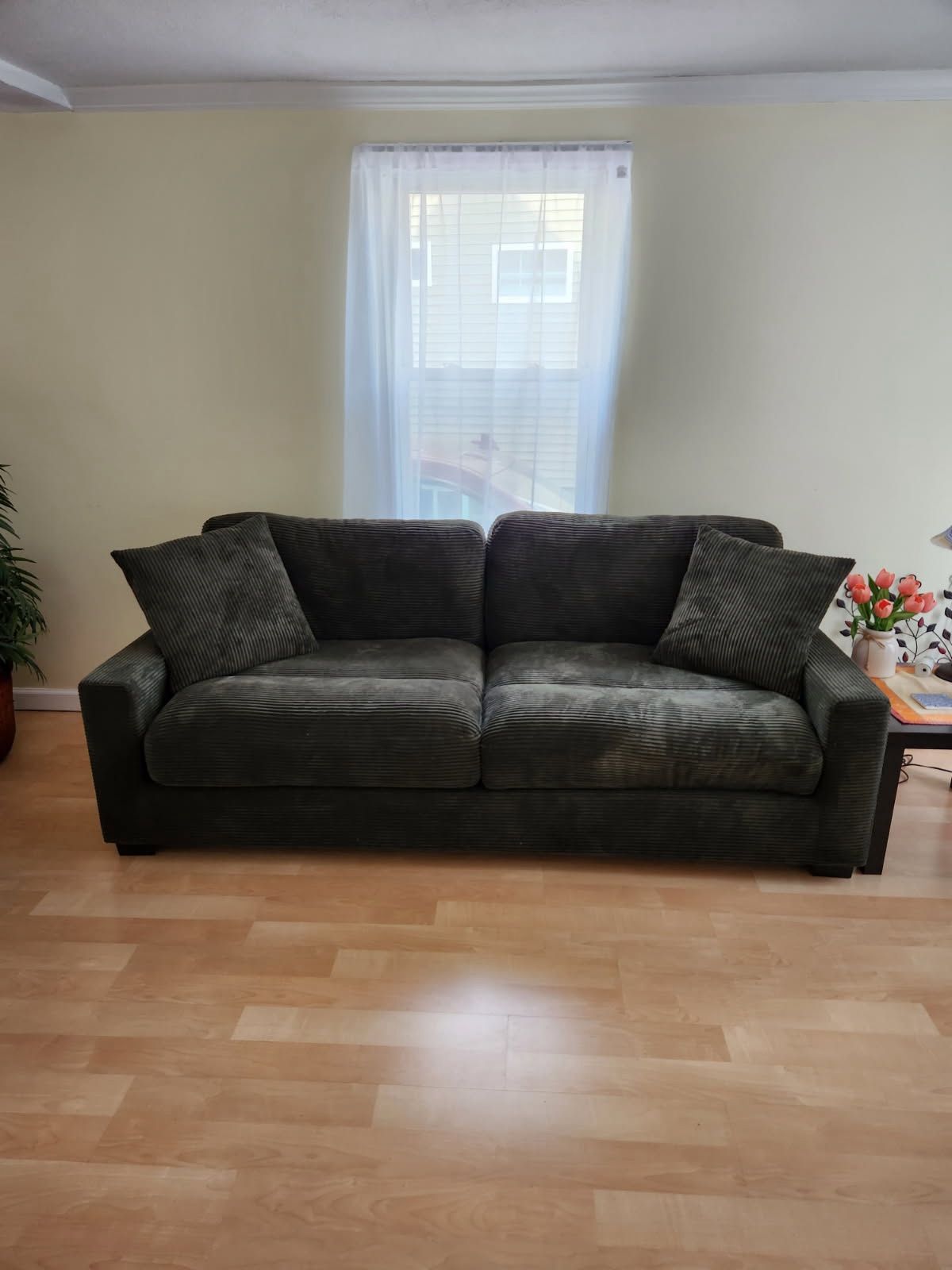 Couch For Sale
