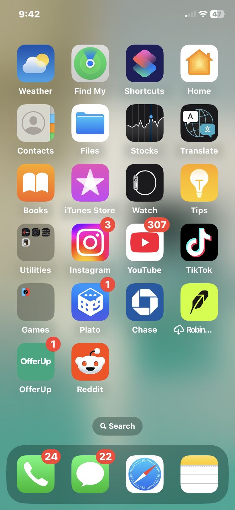iphone 11 with Tiktok installed