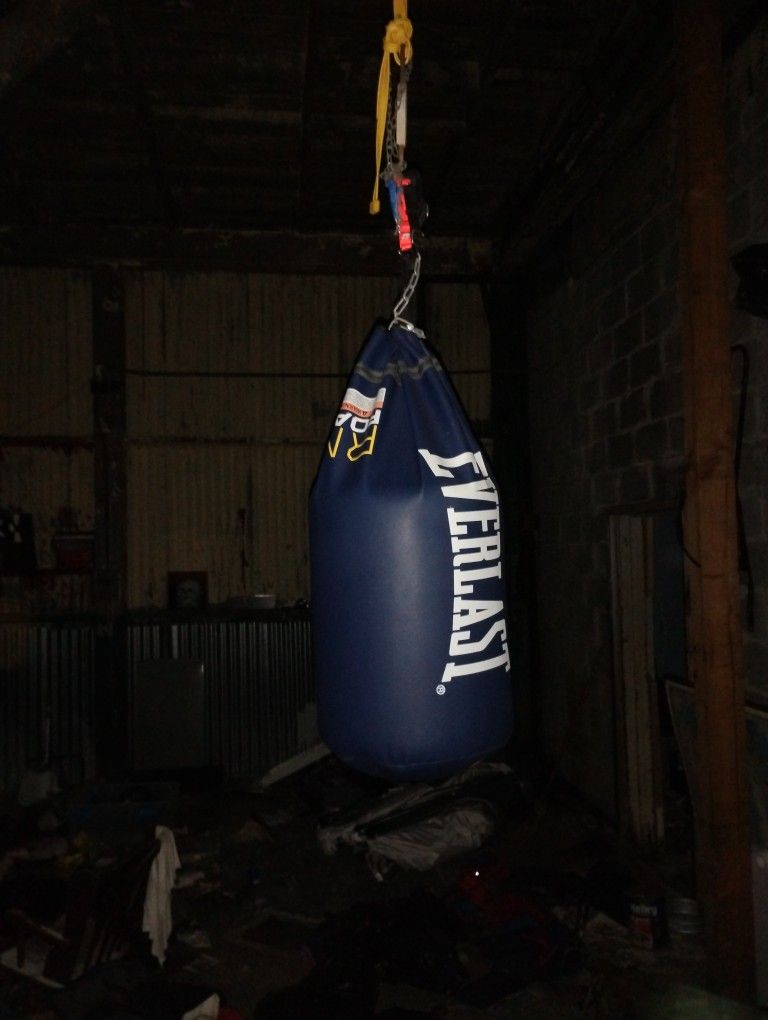 Everlast Punching Bag