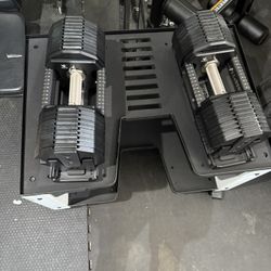 Pepin X Rep Adjustable Dumbbells With Stand (105Ib Set)