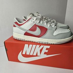 Nike Dunk Low Gym Red Iron Ore HJ9093-030 Men's Shoes NEW Size 11