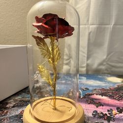 Beauty and Beast Rose