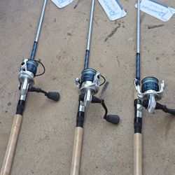 Quantum Strive Fishing Combos/New Braid...150.00 Each