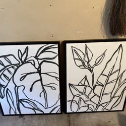 Black & White Botanical Framed Art