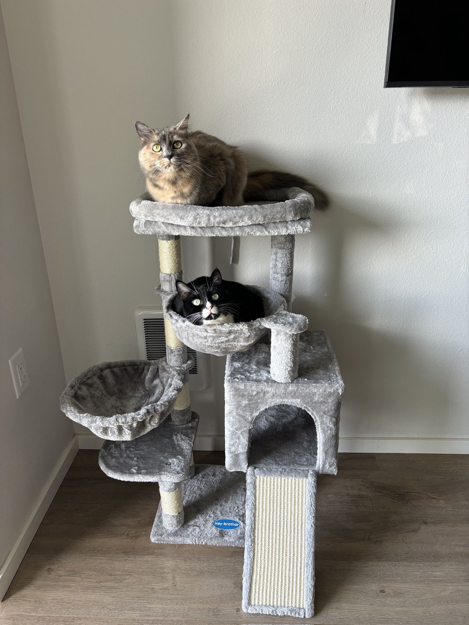 Cat Tree