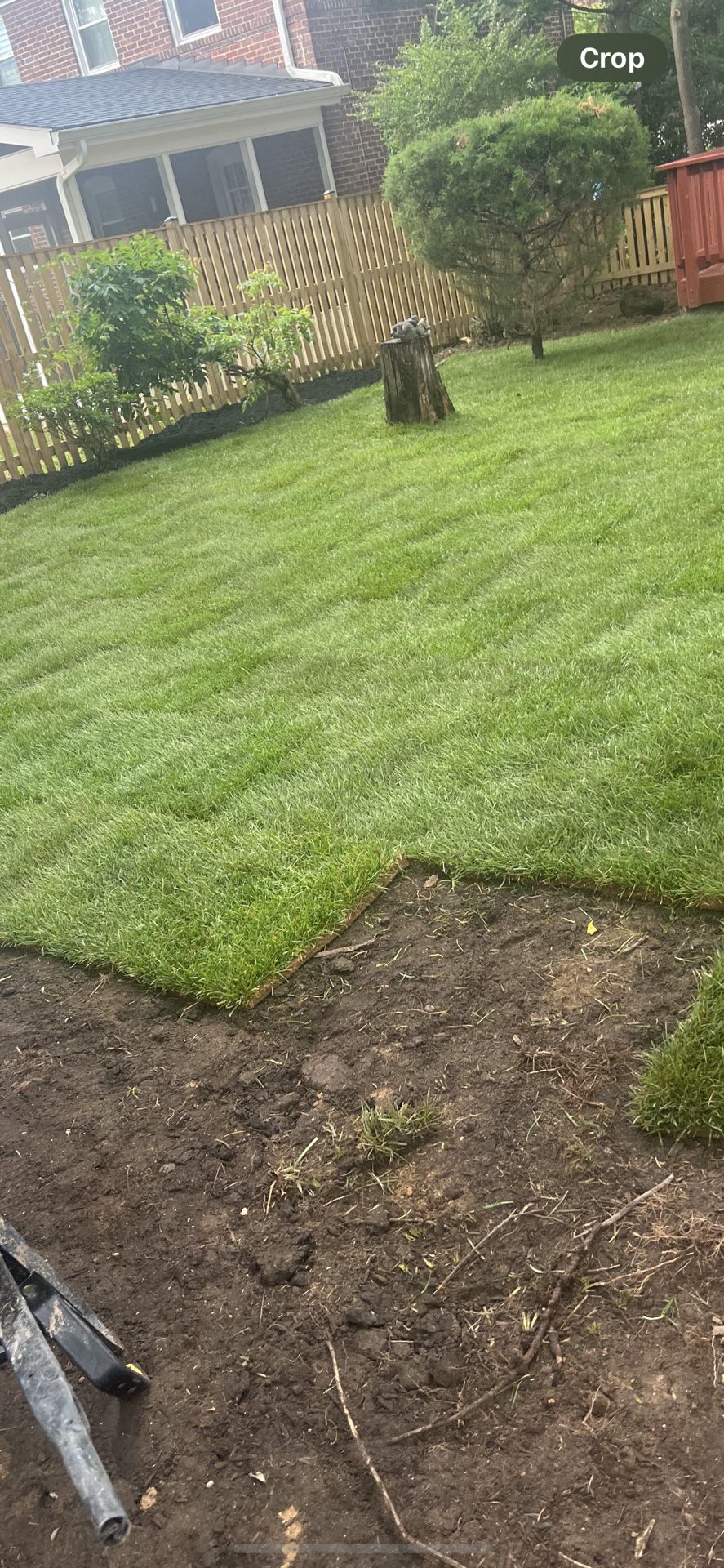 Fresh Sod