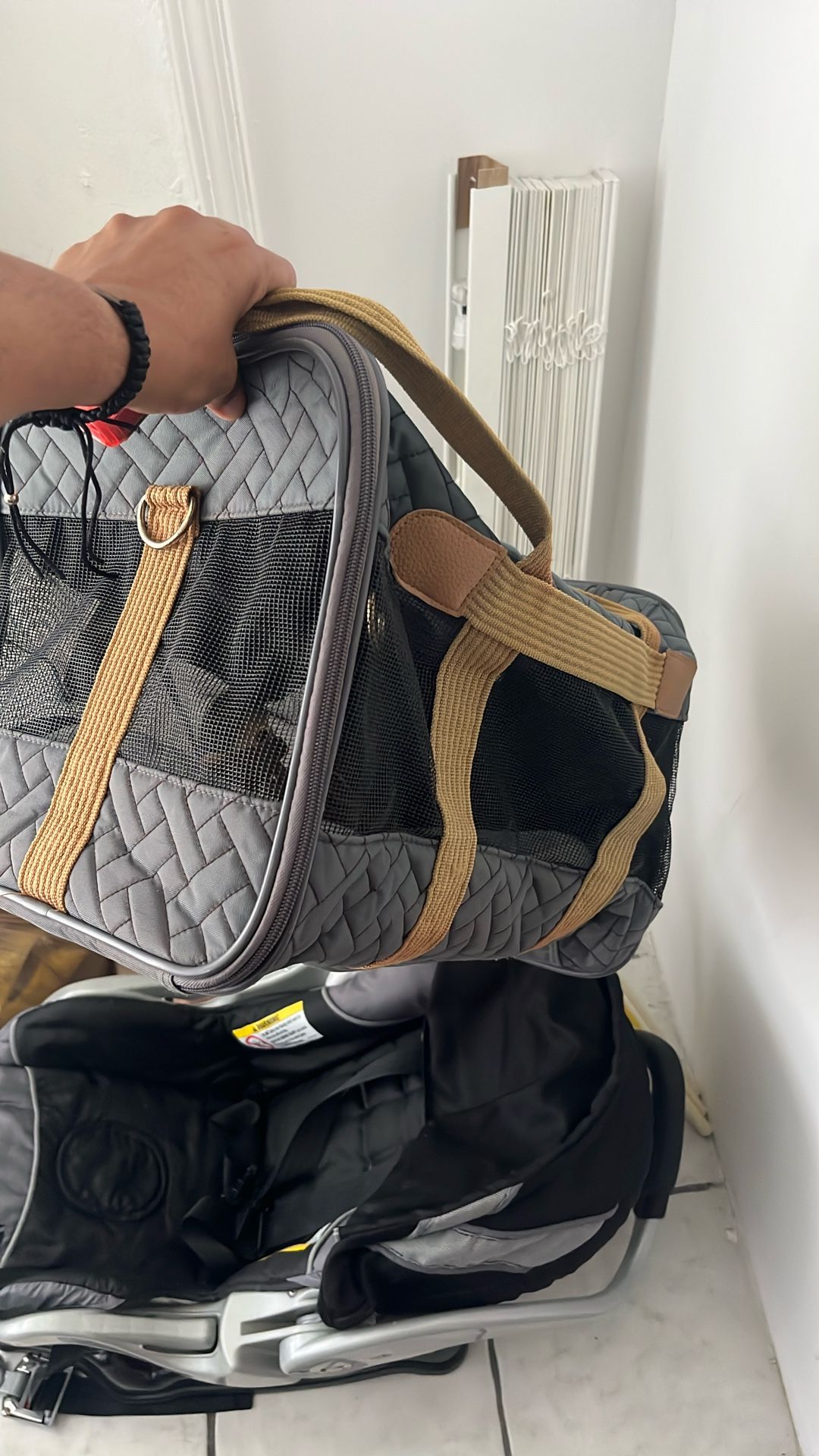 Dog Bag
