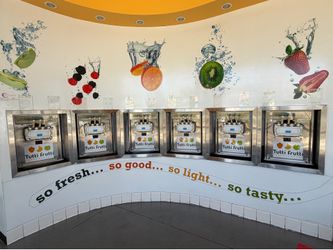 Taylor 794-33 Frozen Yogurt / Soft Serve Machine (6 Available)