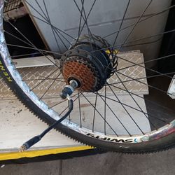 36v Hub Motor