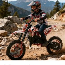 49cc 2 Stroke Gas Mini Pit Bike