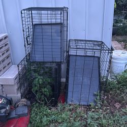 Jaula De Perro 