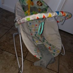 Baby Bouncer 
