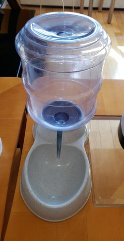 Doggie water fountain