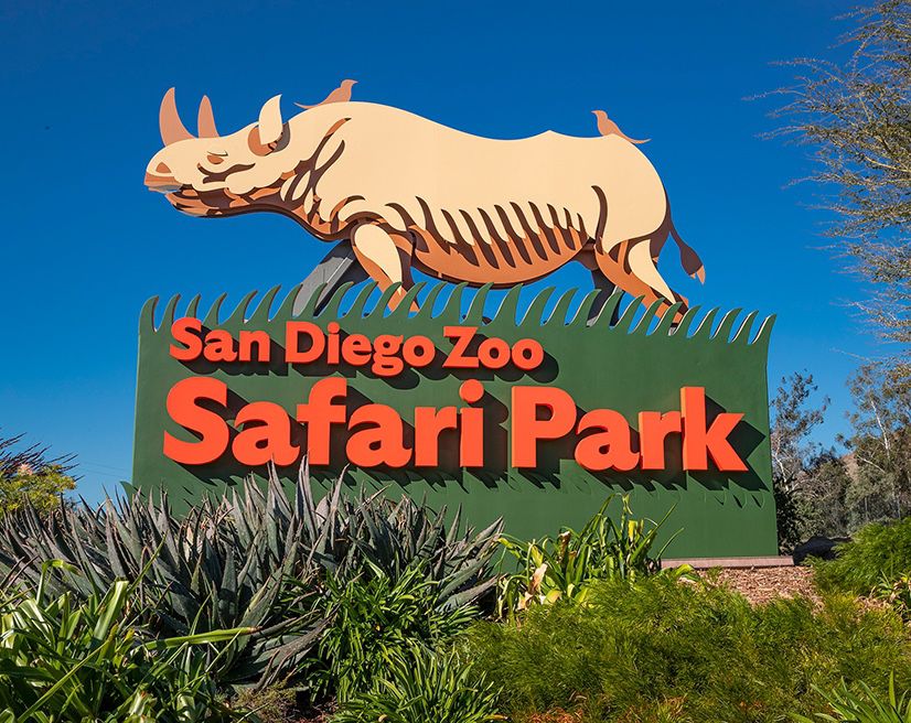 San Diego Zoo Ticket