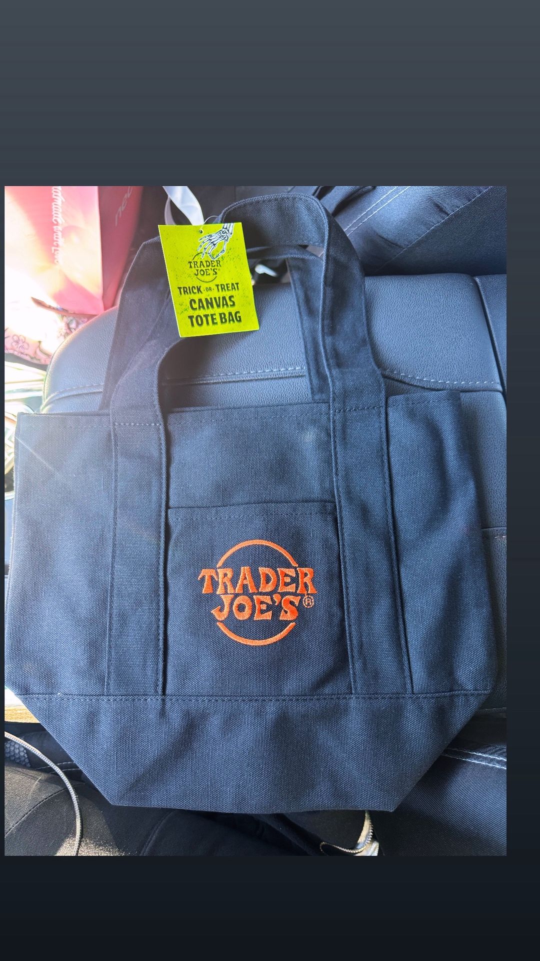 Trader Joe’s Mini Tote Bag