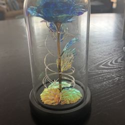 Blue Rose Light