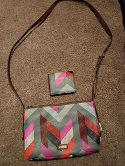Fossil pocketbook
