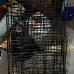 Black XL Dog Crate With 2 Doors