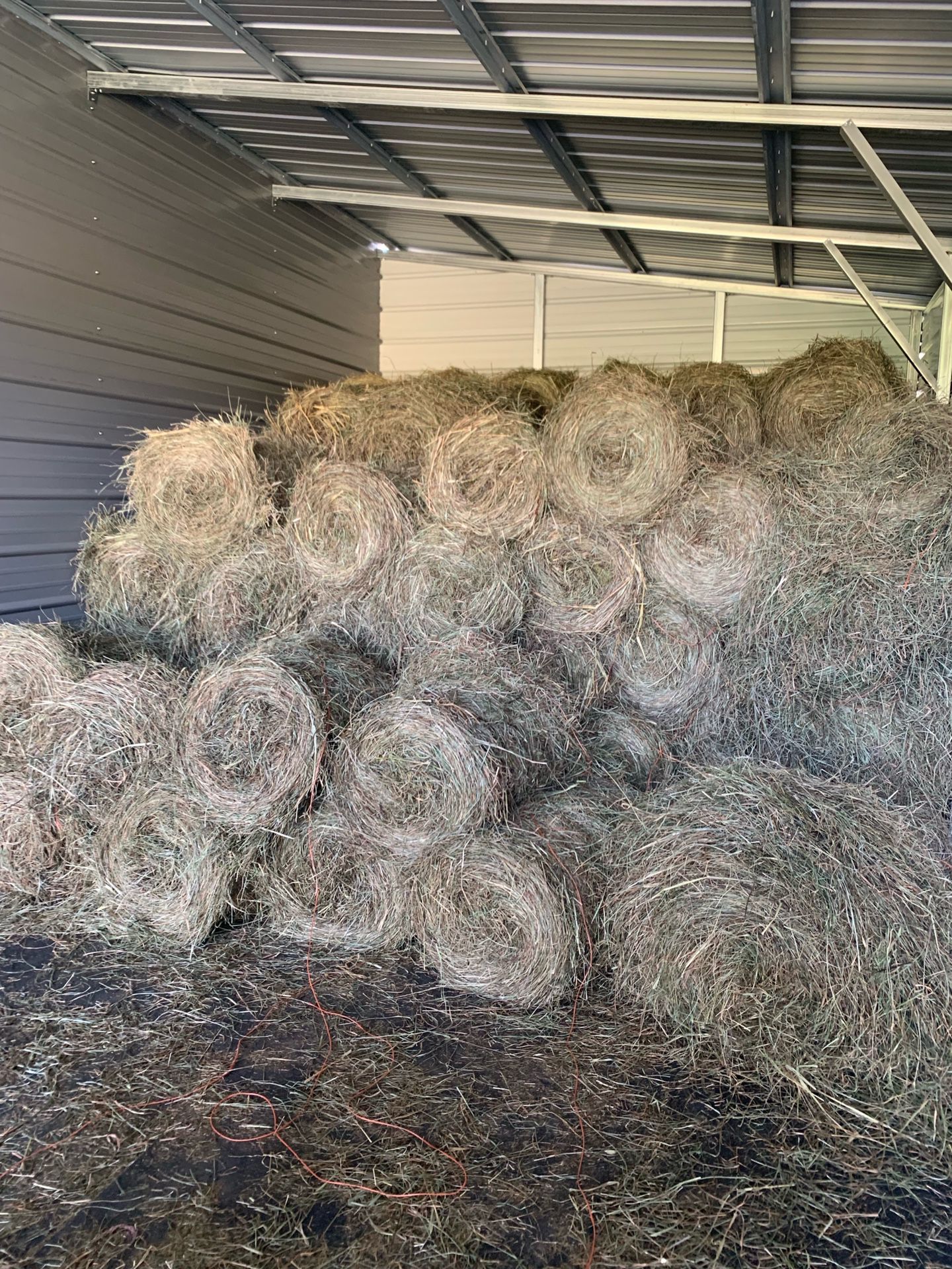 Horse Hay For Sale