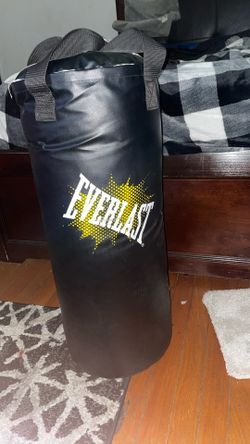 Everlast Punching Bag