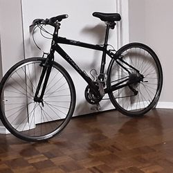 Pristine Mint ZTREK 7.3FX.... 24 SPPED lightweight