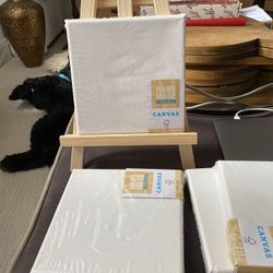 Paint, Canvases, Easel 