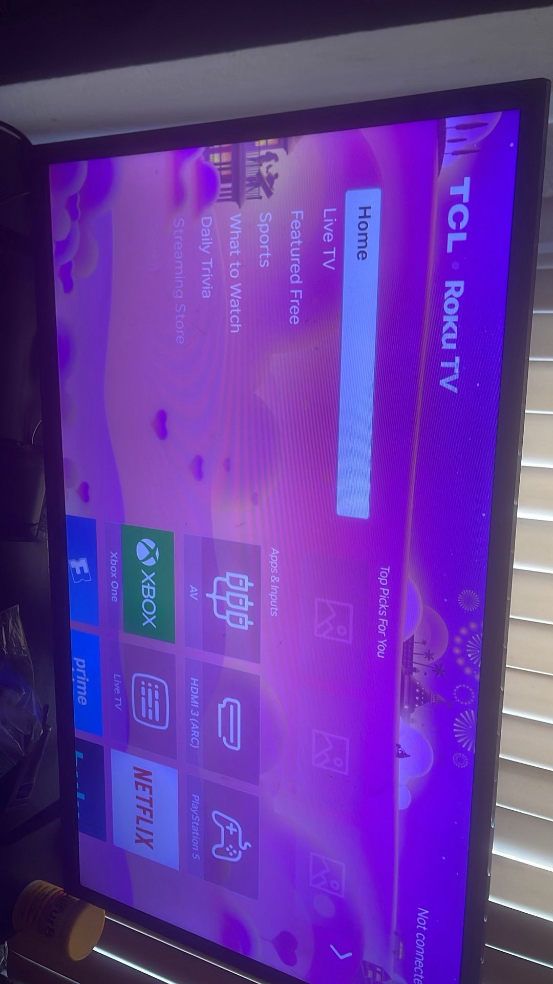 32 Inch Roku Tv