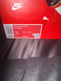 Panda Dunks 3y