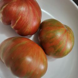 Rare Organic Chocolate Lightning Dwarf Tomato Seeds! 2026 SEASON EARLY RELEASE! Available Now! 