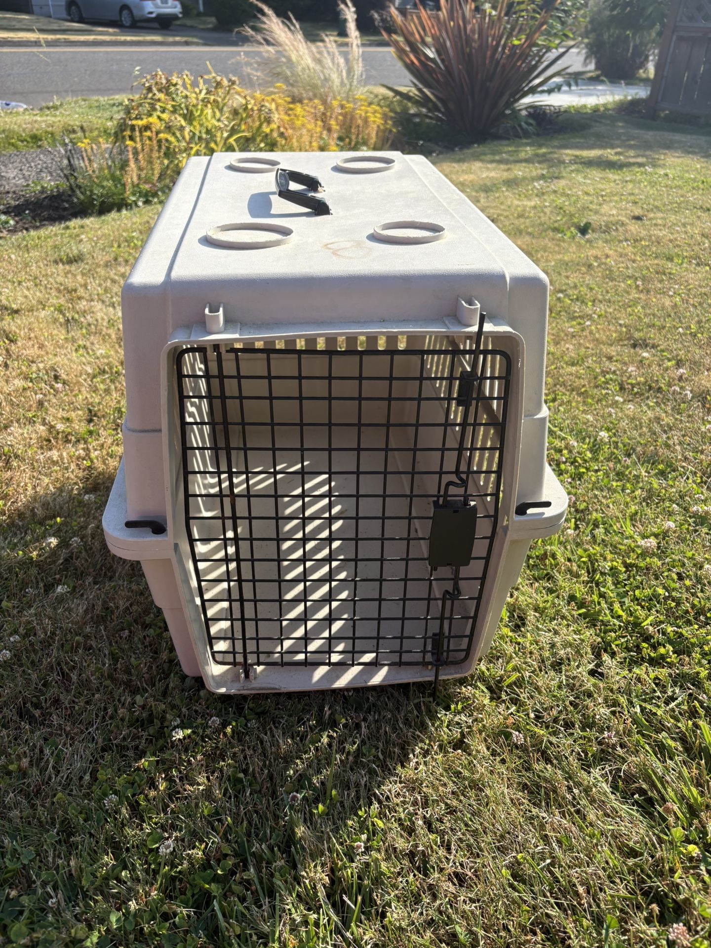Dog Kennel