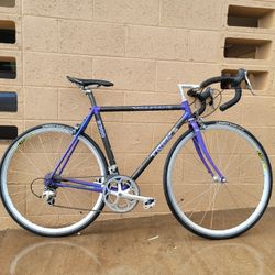 Trek Road Bike