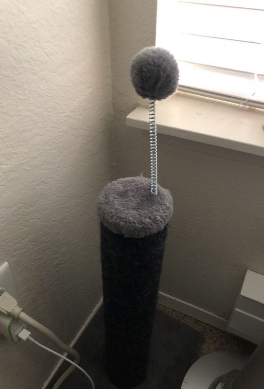 CAT TOY.